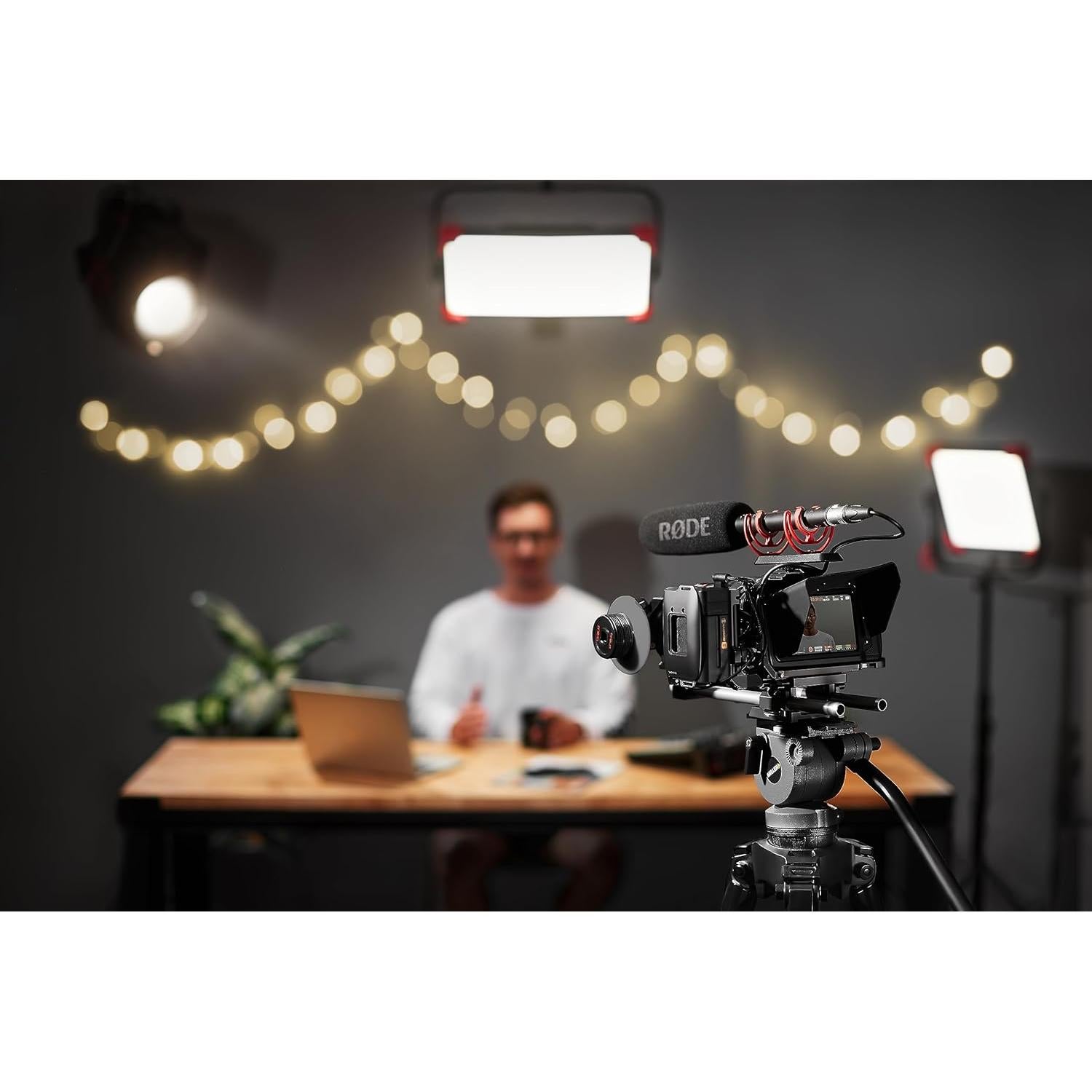 Micrófono de escopeta RØDE NTG4 supercardioide 20 kHz