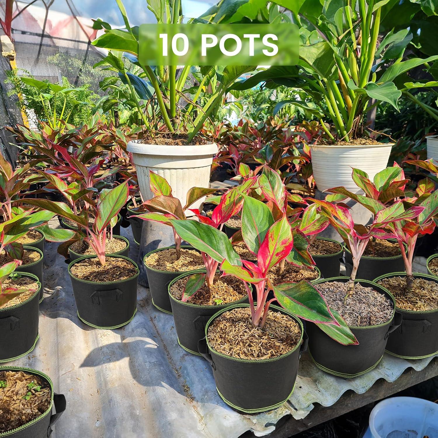 Bolsas de Crecimiento Eowllo 5 Galones 10 Pcs Tela Resistente