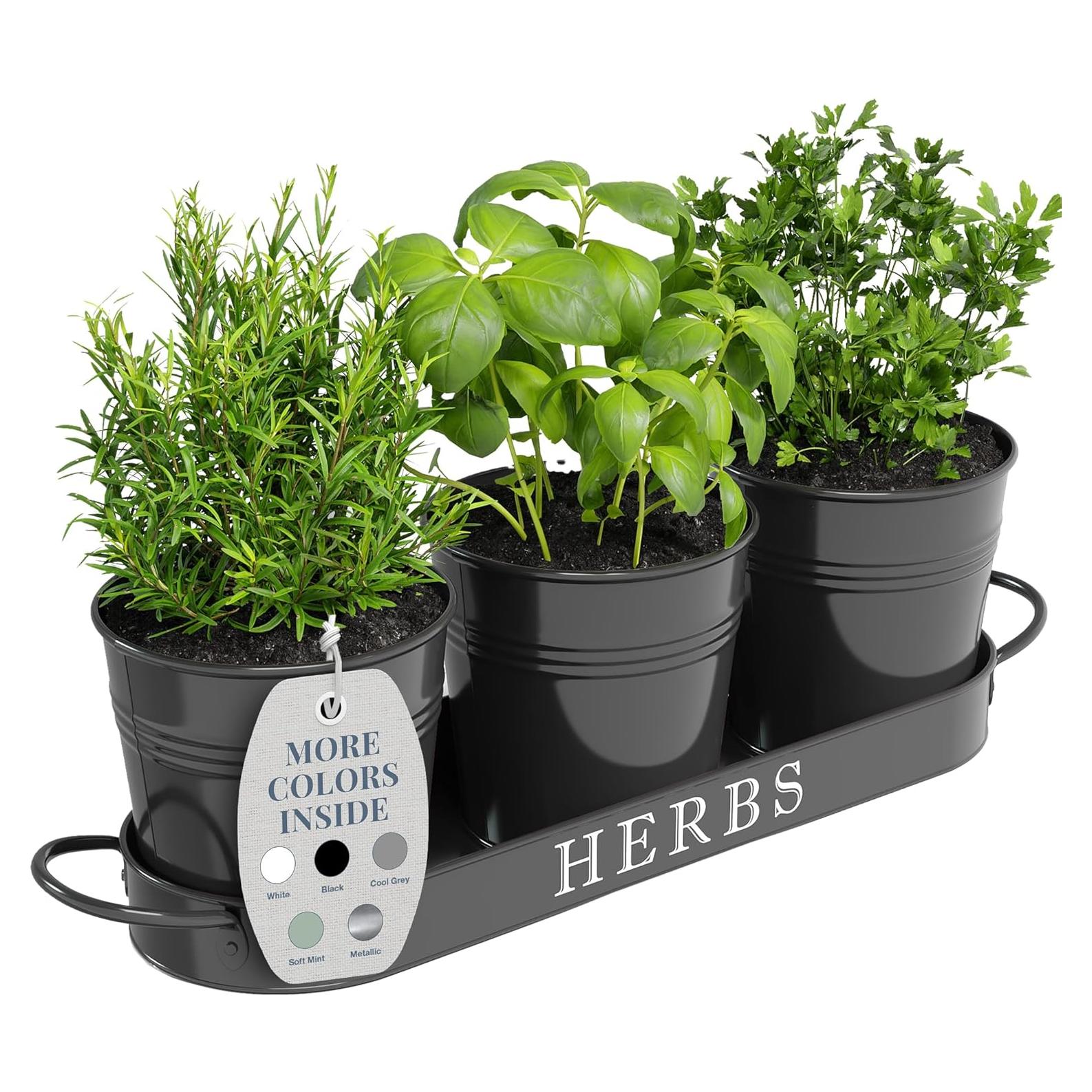 Juego de 3 Macetas de Metal para Hierbas Barnyard Designs Negro