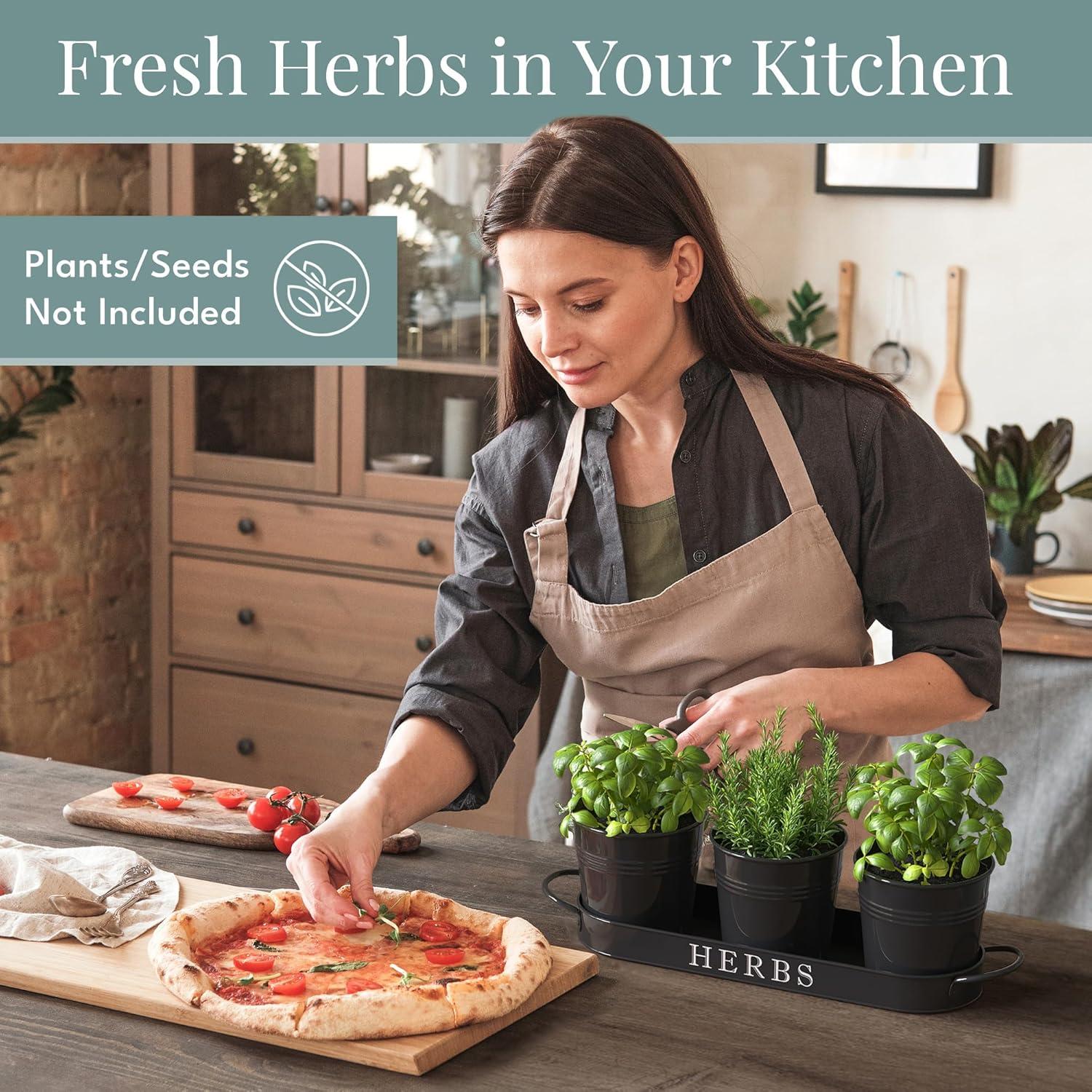 Juego de 3 Macetas de Metal para Hierbas Barnyard Designs Negro