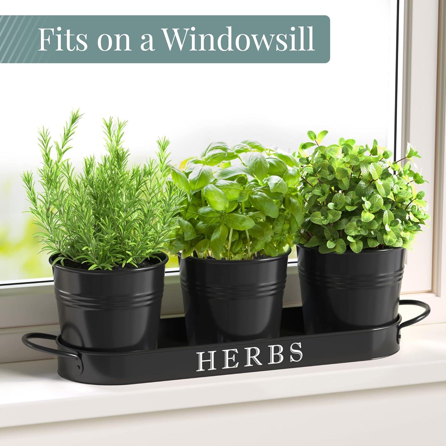 Juego de 3 Macetas de Metal para Hierbas Barnyard Designs Negro