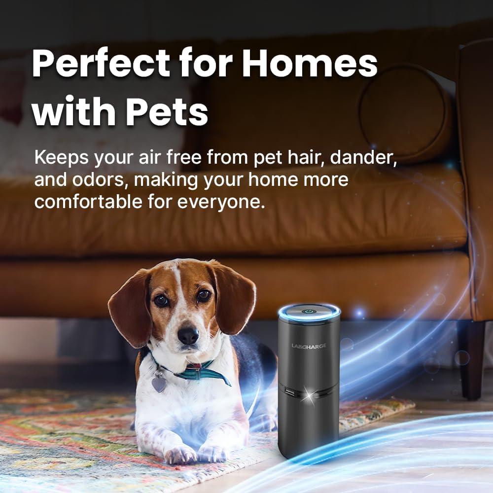 Purificador de Aire Iónico LabCharge - Compacto 23.2 m² - Sin Filtro