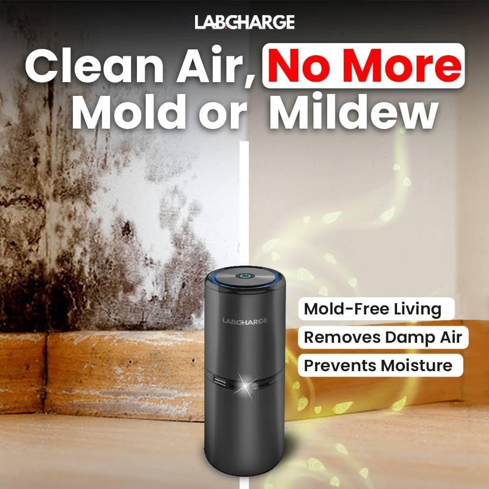 Purificador de Aire Iónico LabCharge - Compacto 23.2 m² - Sin Filtro
