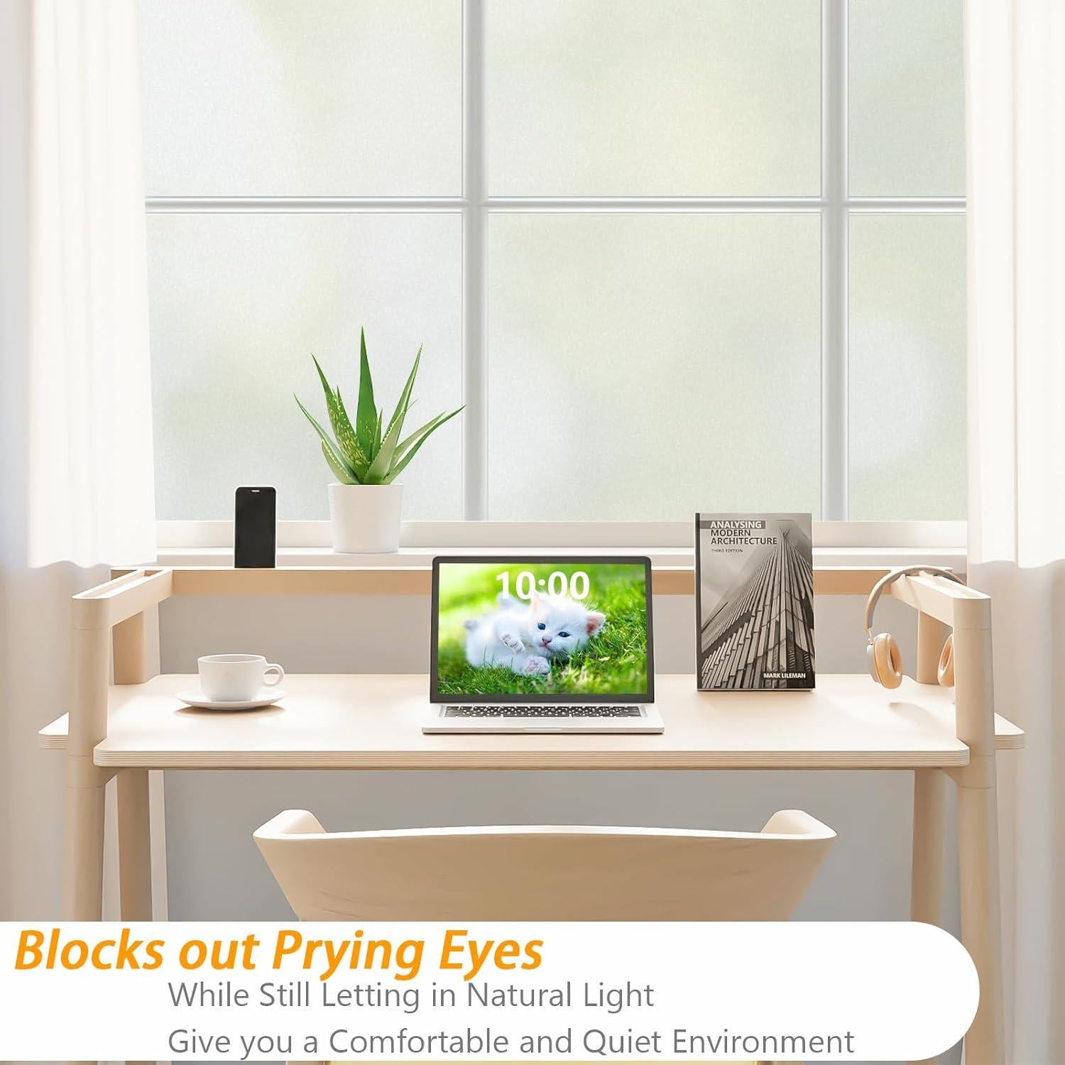 Película de Privacidad para Ventanas Bloss 30x200 cm Esmerilada