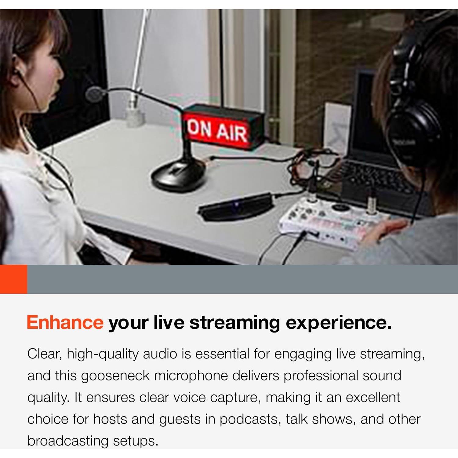 Micrófono de condensador Tascam TM-95GN cuello de ganso