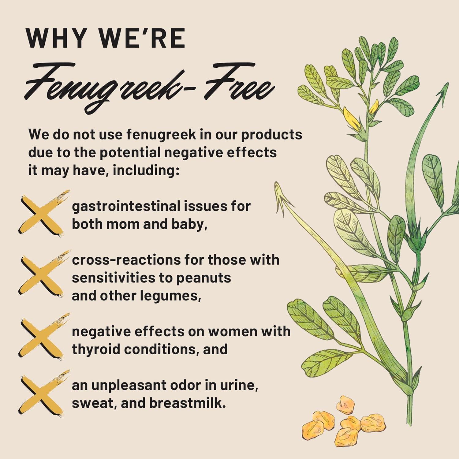 Suplemento de Lactancia Legendairy Milk Lechita 60 Cápsulas Veganas