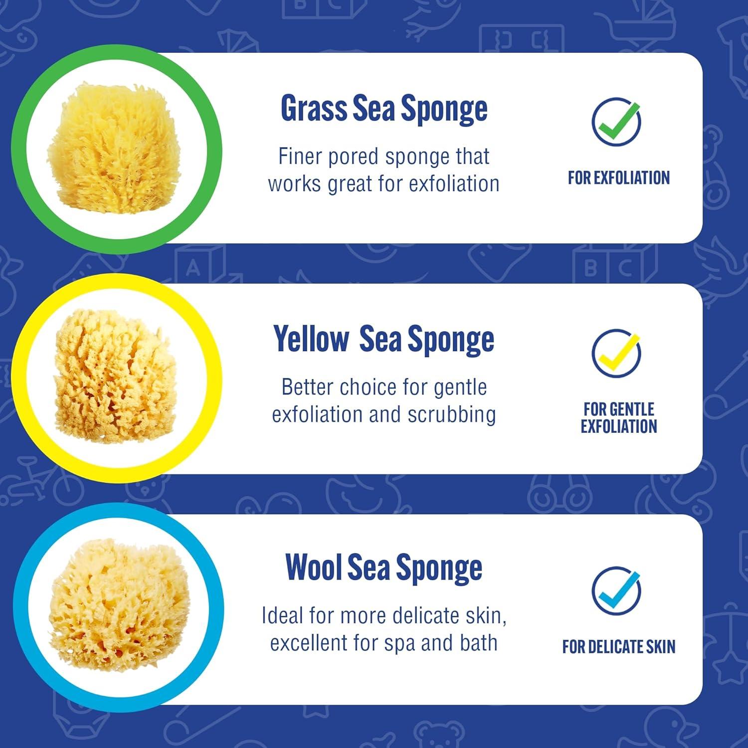 Esponja de Mar Natural Baby Buddy para Bebés - Hipoalergénica