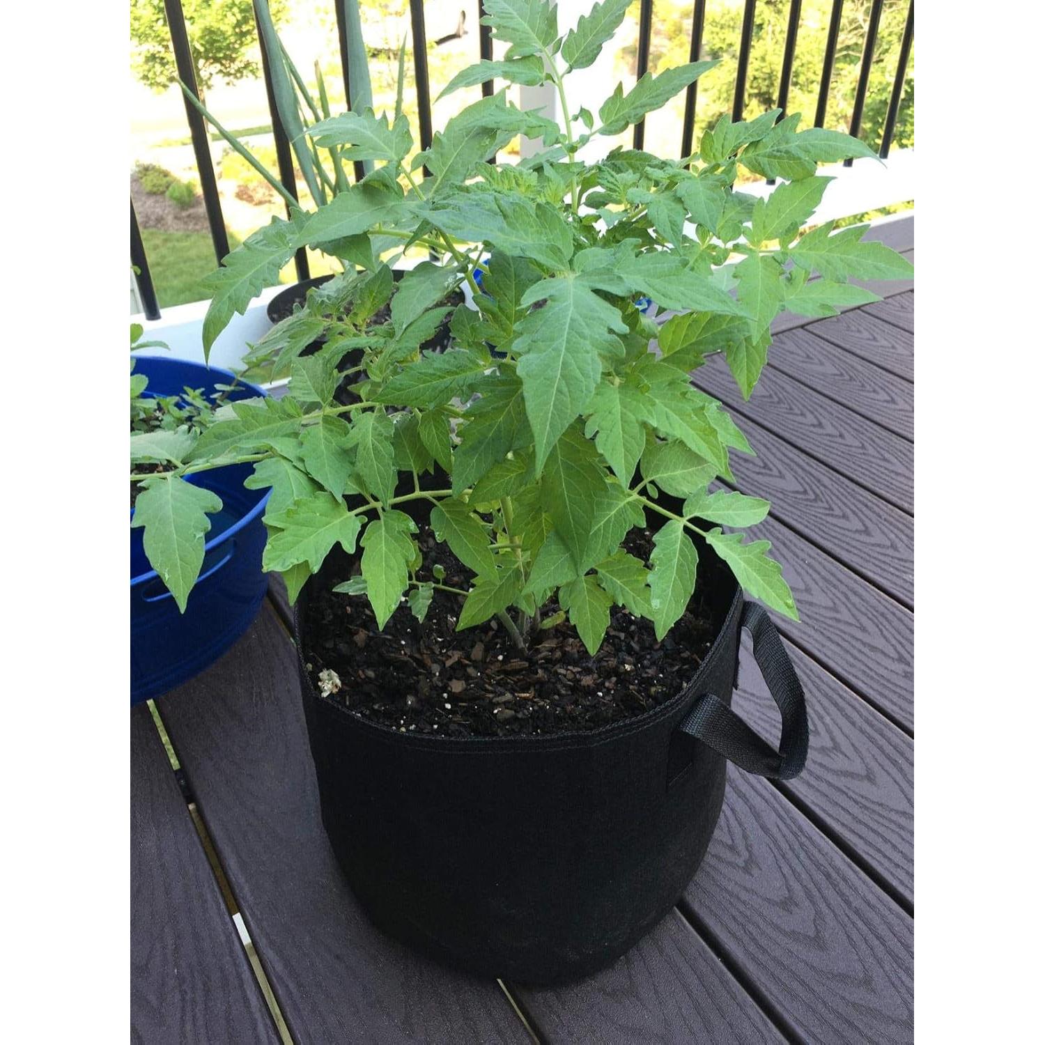 Paquete de 10 bolsas de cultivo Cavisoo 11.4L tela transpirable