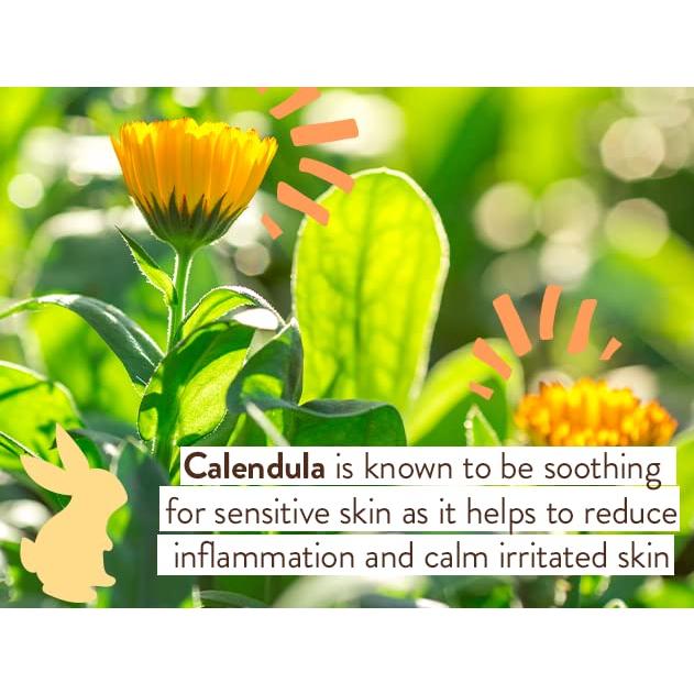 Champú y Lavado Sensible Babo Botanicals 236.6 ml Sin Fragancia