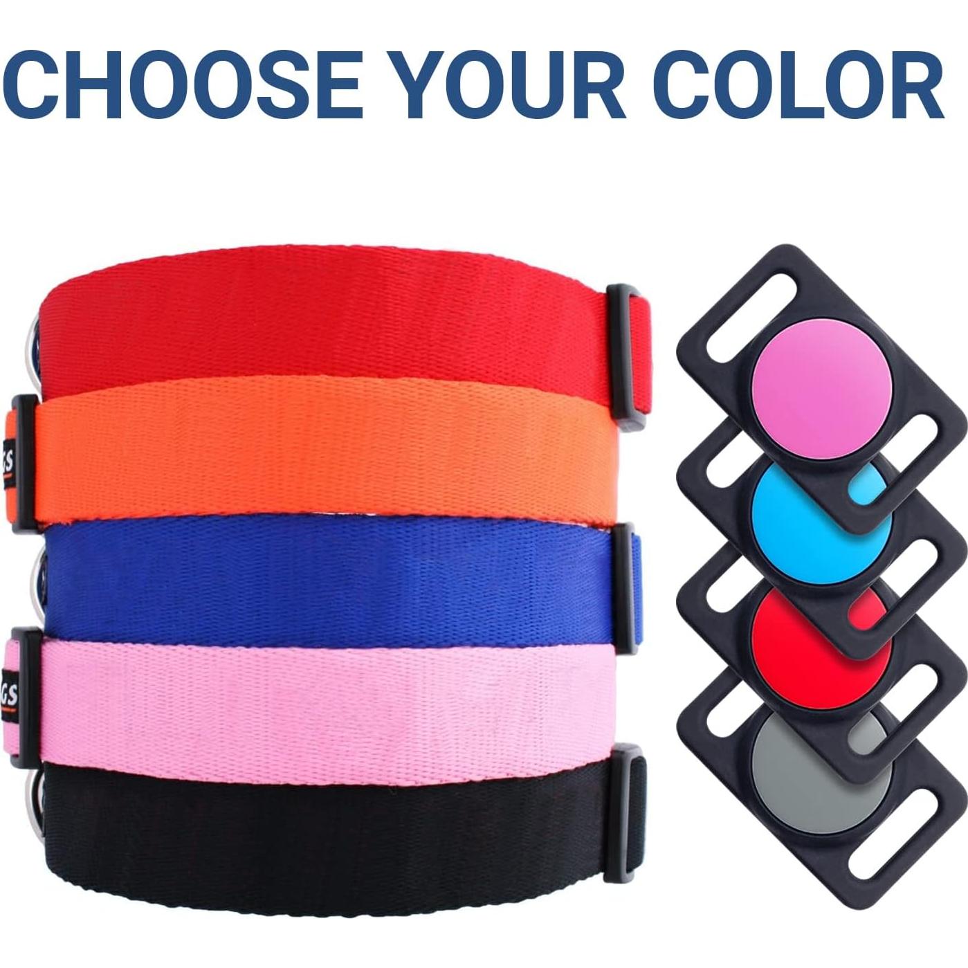 Collar para Perros GoTags con Soporte para AirTag Personalizado - Pequeño