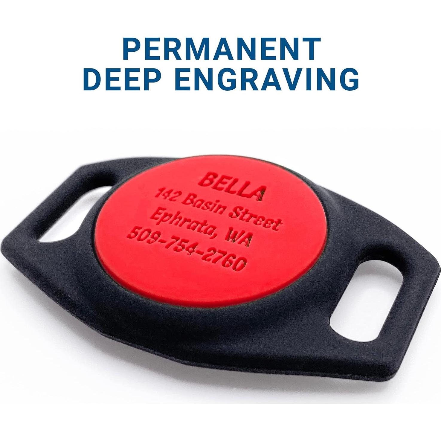 Collar para Perros GoTags con Soporte para AirTag Personalizado - Pequeño