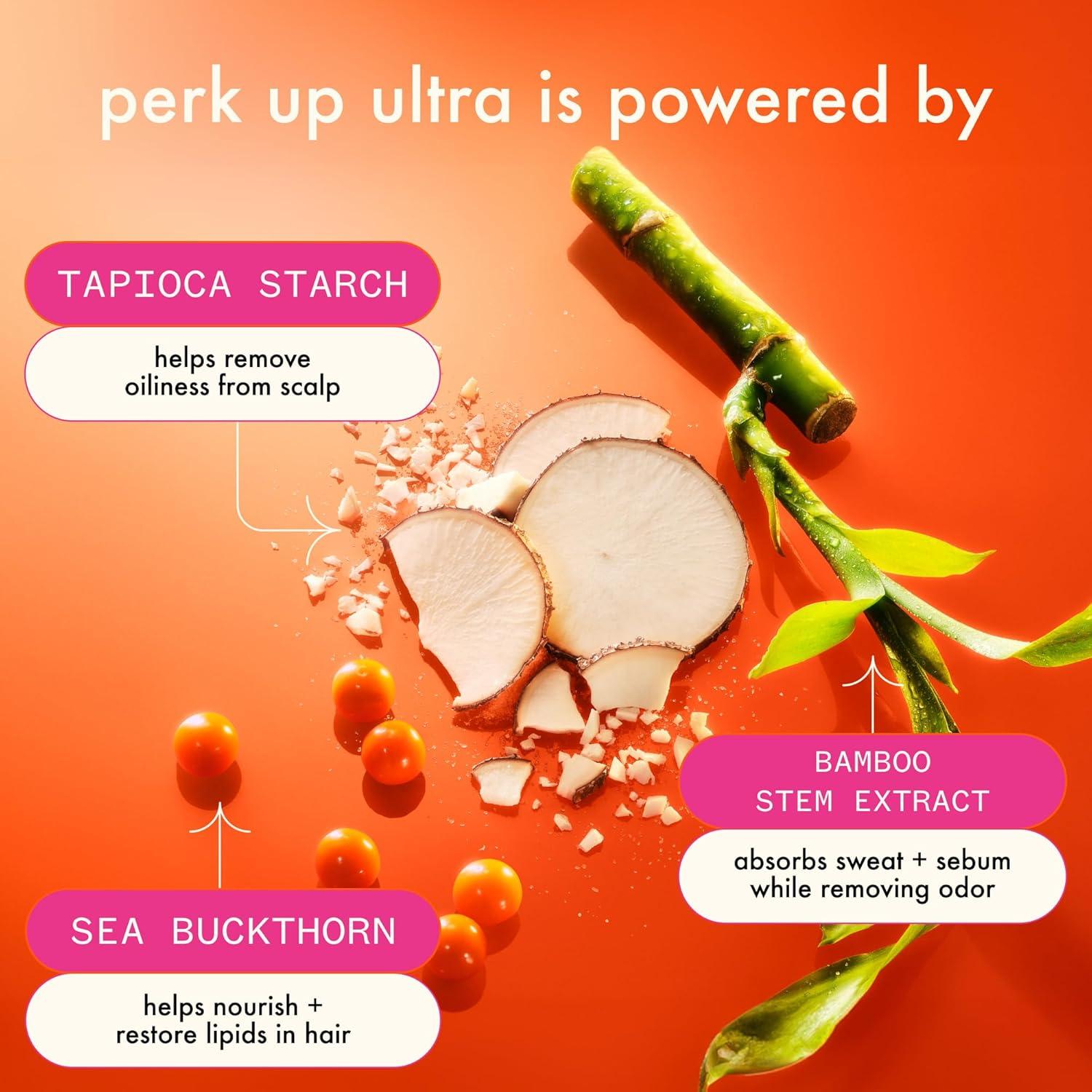 Champú Seco Amika Perk Up 51g Control de Aceite