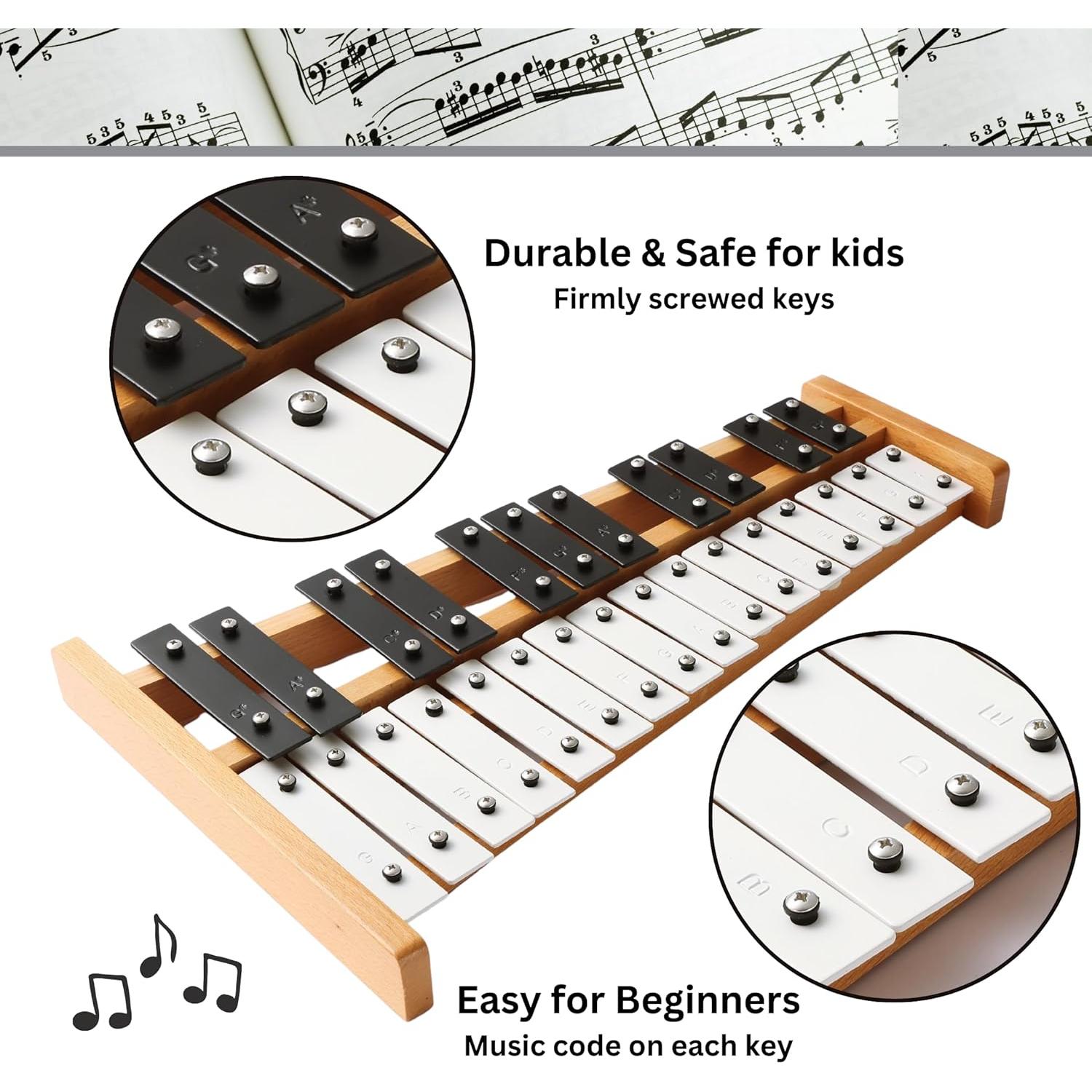 Xilófono Profesional Eco Joy 27 Notas con Mazos y Funda