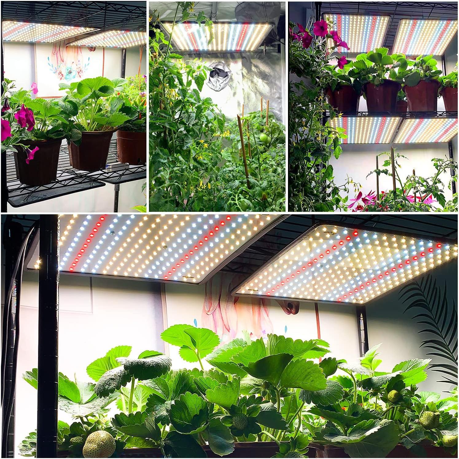 Luz de Crecimiento LED BAVIHOR Sunlike 200W Paquete de 2