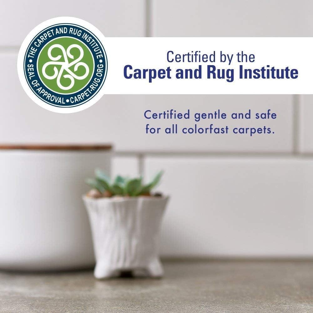 Rocco & Roxie Removedor de Manchas Oxy 946ml - Limpiador Multiusos