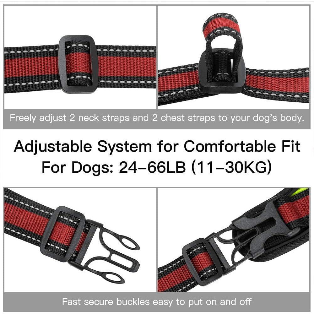 Arnés para Perros SmilePowo con Montaje para GoPro - Ajustable