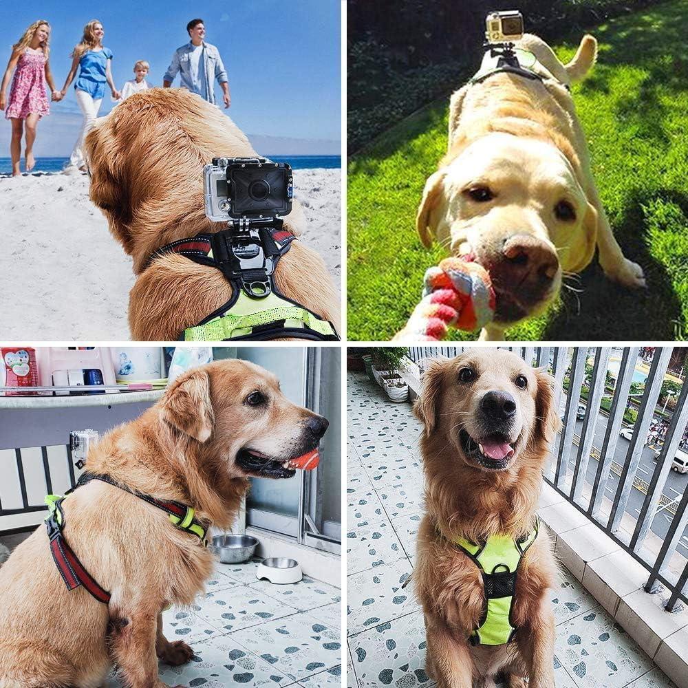 Arnés para Perros SmilePowo con Montaje para GoPro - Ajustable