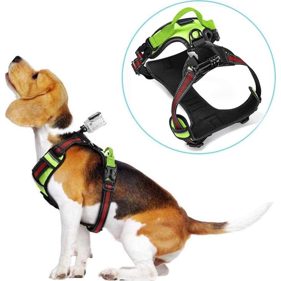 Arnés para Perros SmilePowo con Montaje para GoPro - Ajustable