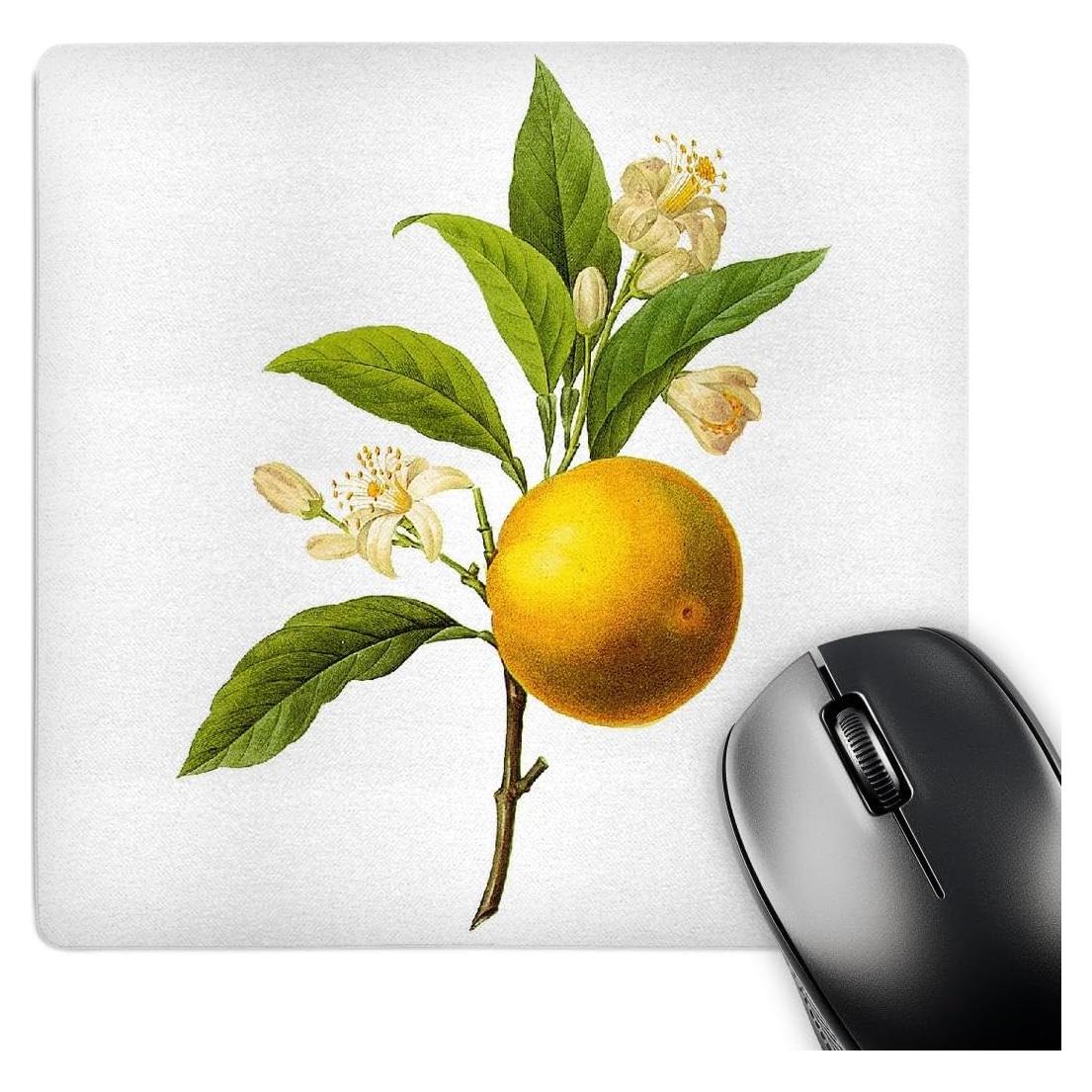 Alfombrilla de Ratón 3dRose Cuadrada Vintage Frutas