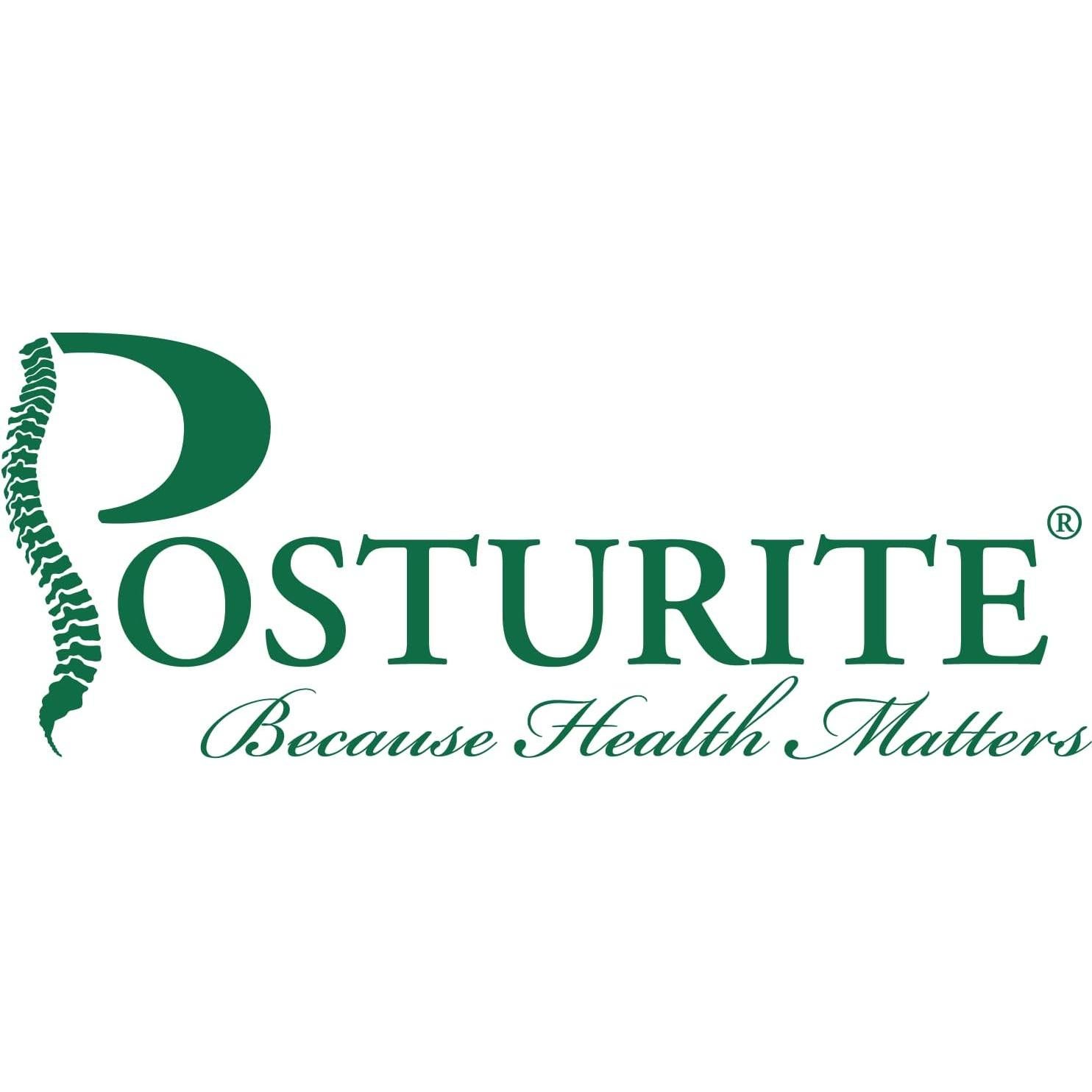 Ratón Ergonómico Inalámbrico Posturite Penguin Mediano