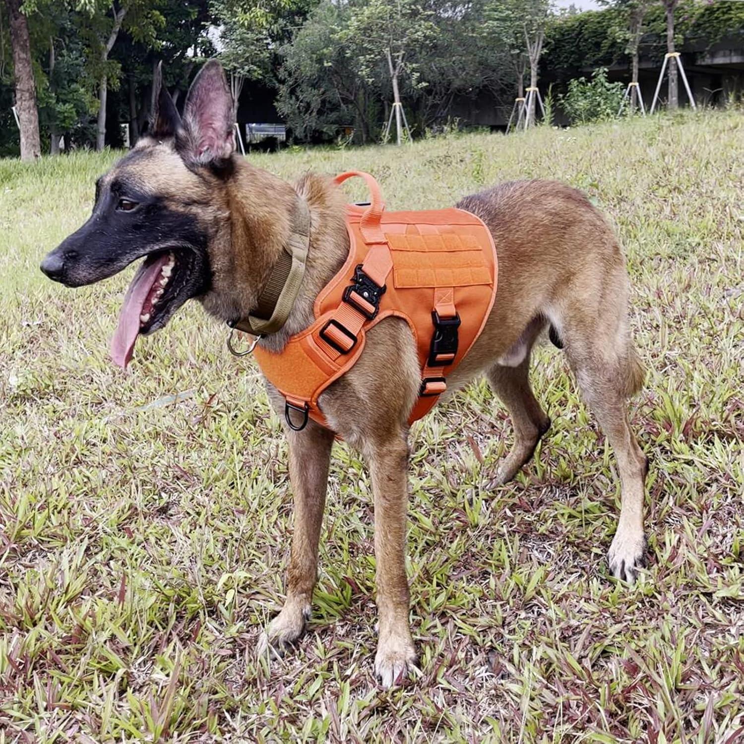 Arnés Táctico para Perros ICEFANG X-Grande Naranja MOLLE
