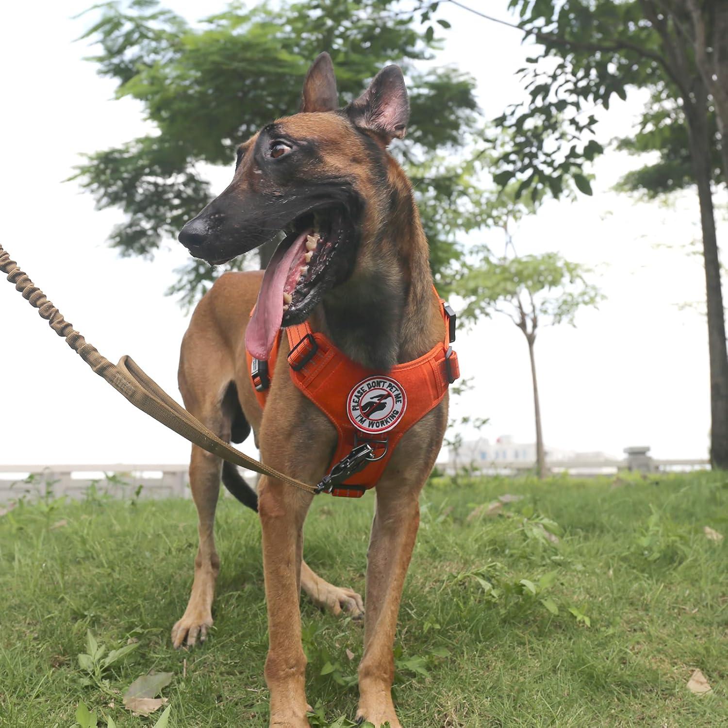 Arnés Táctico para Perros ICEFANG X-Grande Naranja MOLLE