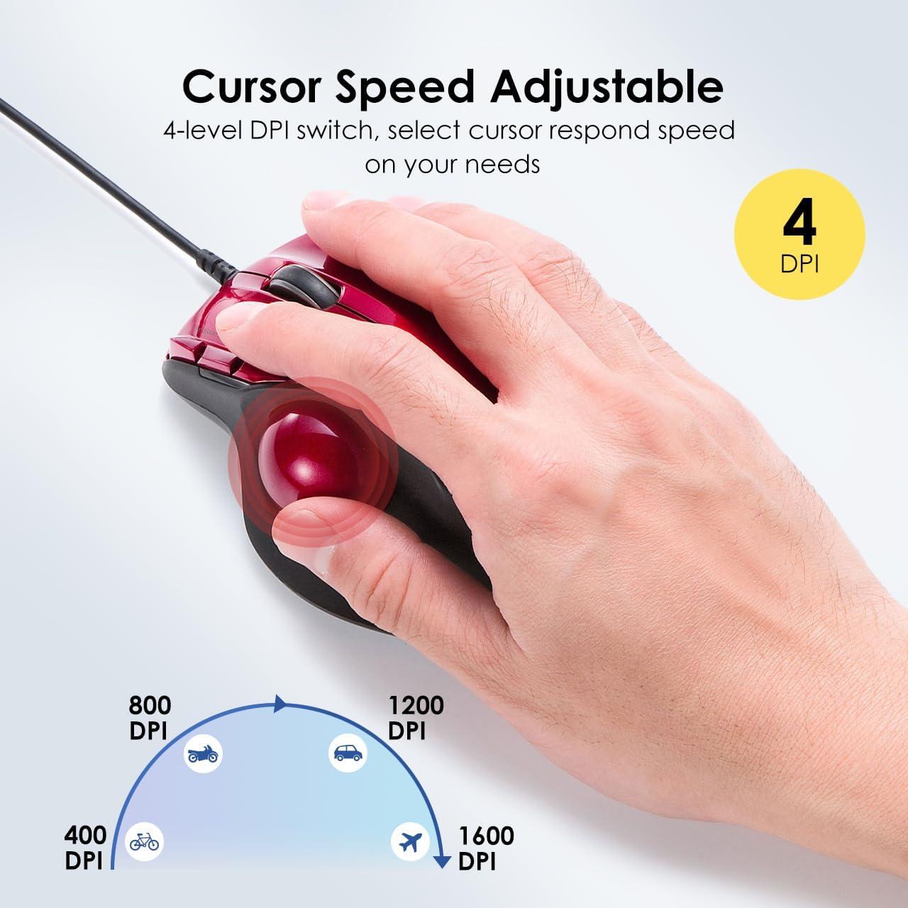 Ratón Trackball Ergonómico SANWA TB44RN + Teclado Bluetooth