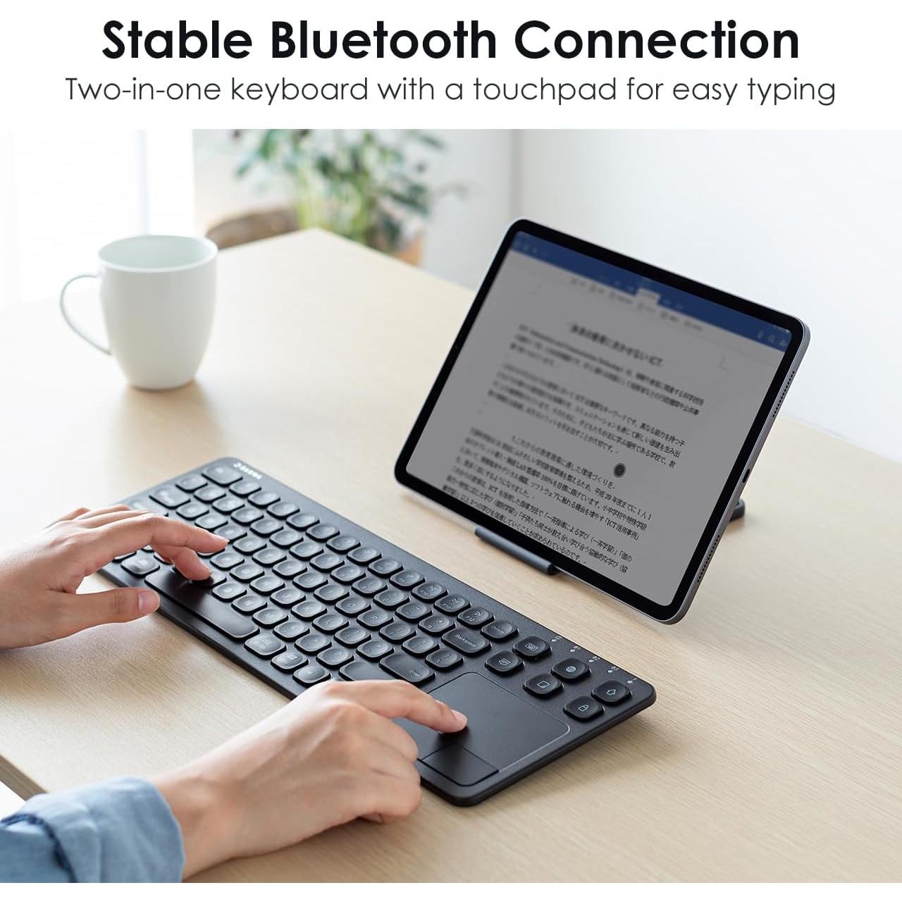 Ratón Trackball Ergonómico SANWA TB44RN + Teclado Bluetooth