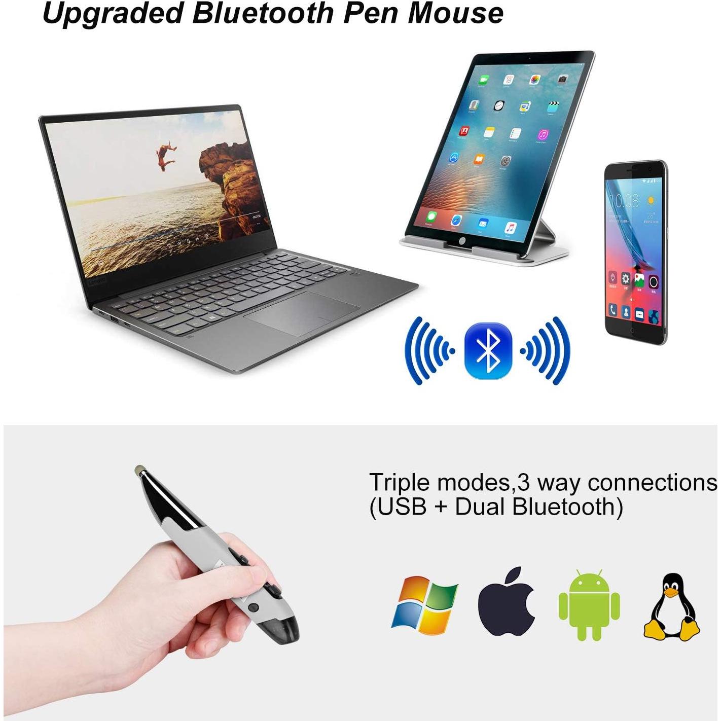 Ratón óptico ergonómico recargable Lychee gris con stylus