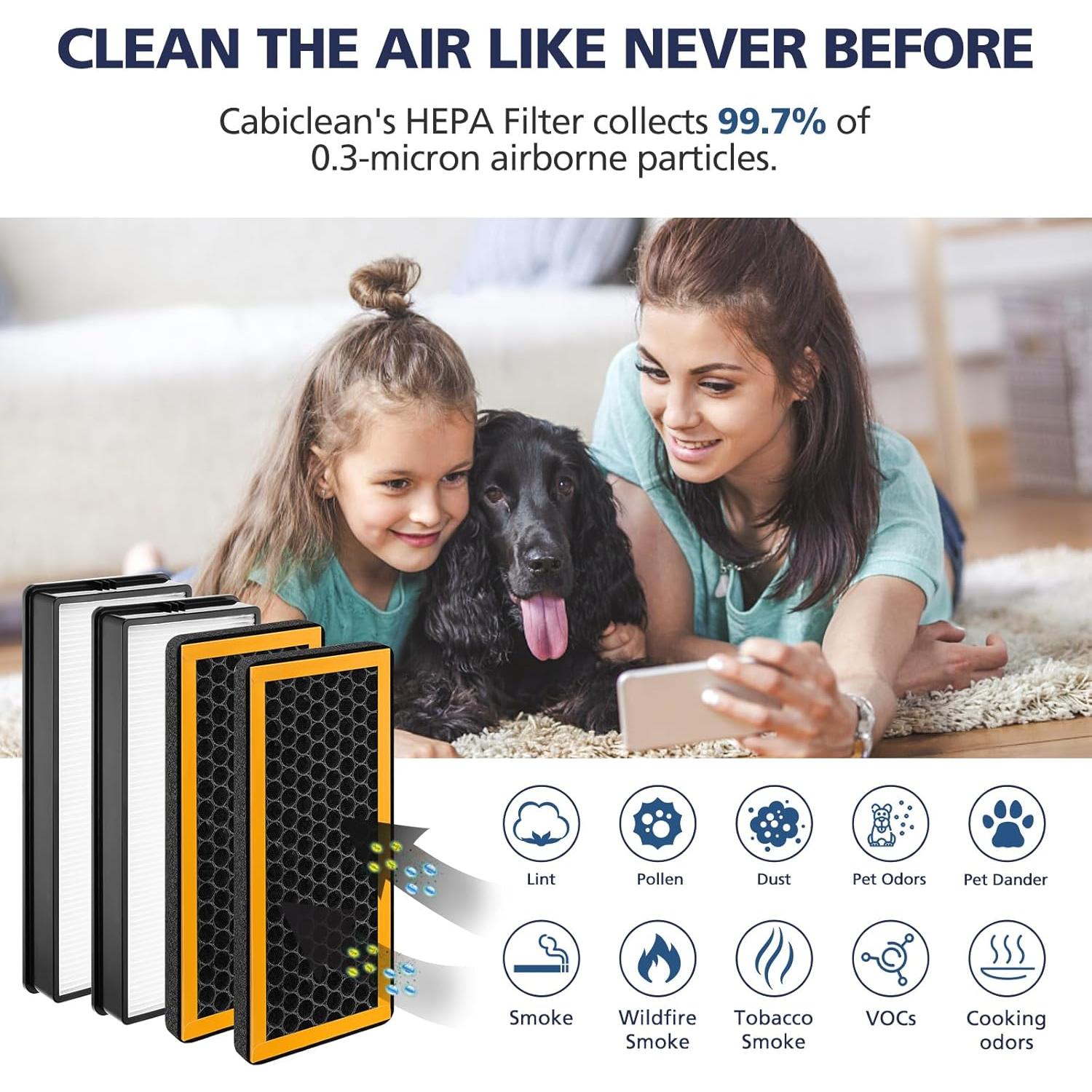 Paquete de 4 Filtros de Reemplazo HoMedics AT-PET01/02/AR-45