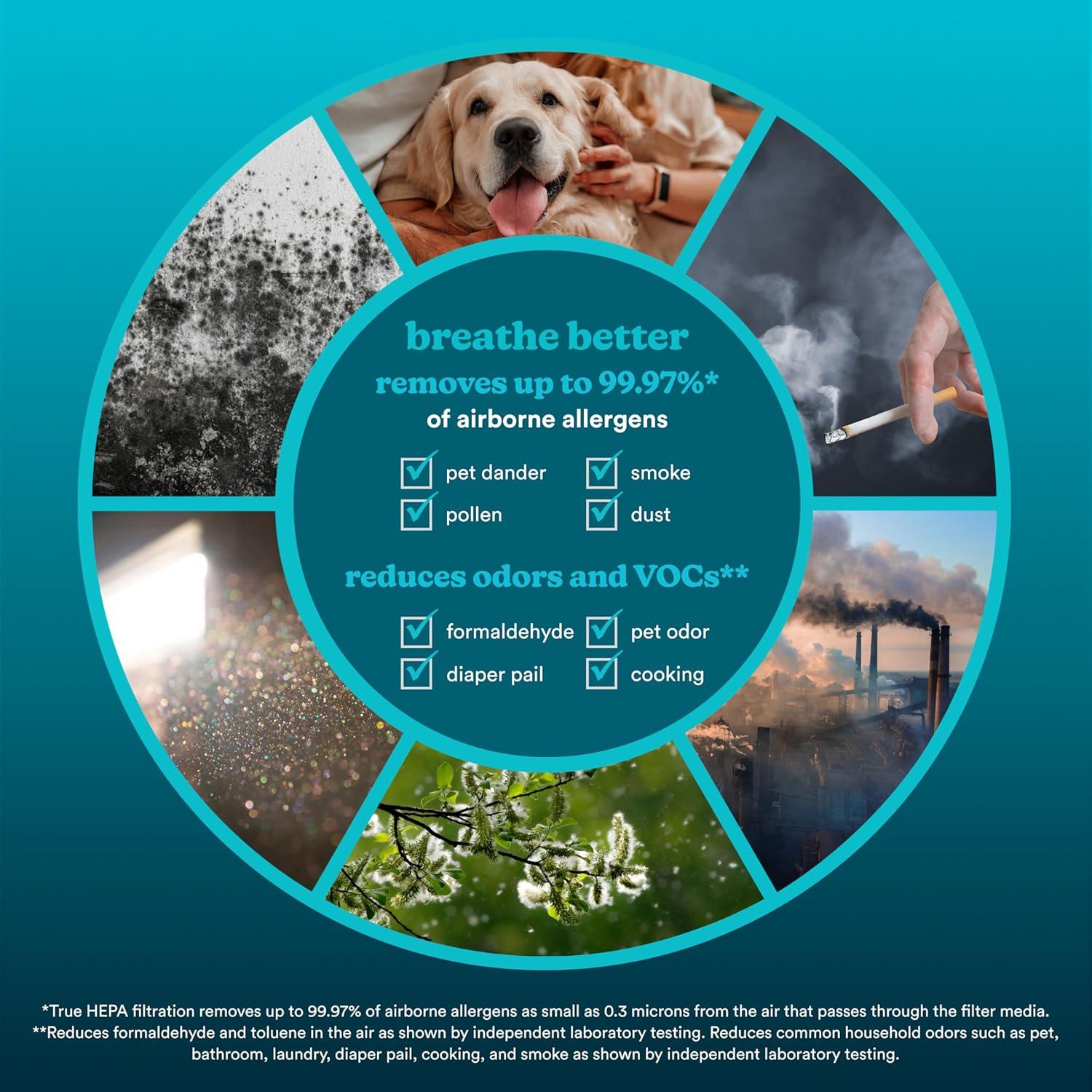 Filtro de Reemplazo True HEPA Homedics AP-T200/AP-T2503 0.7kg