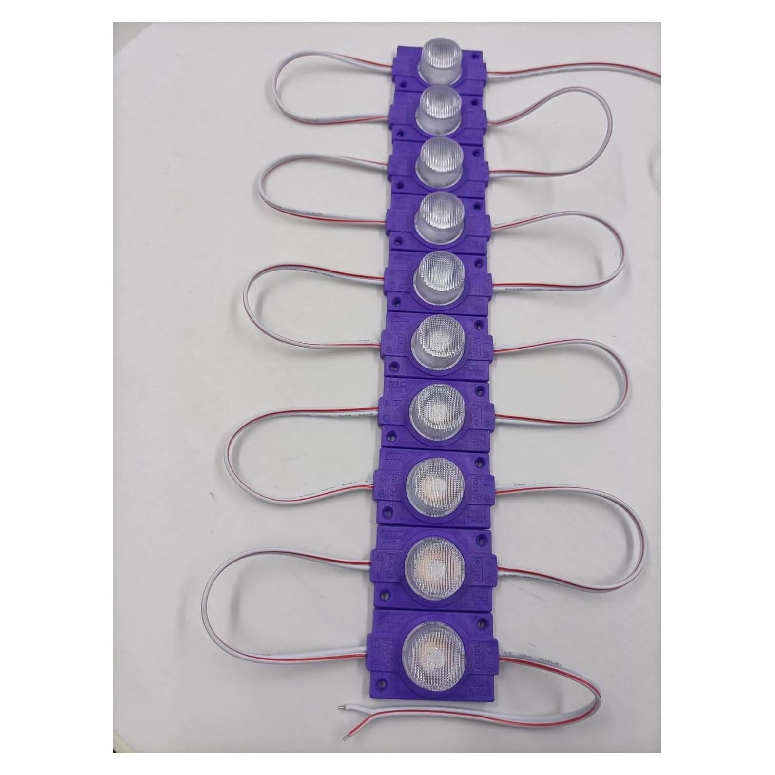 Módulos LED Q QINGCHEN 12V Púrpura IP65 2.0W - Paquete 20