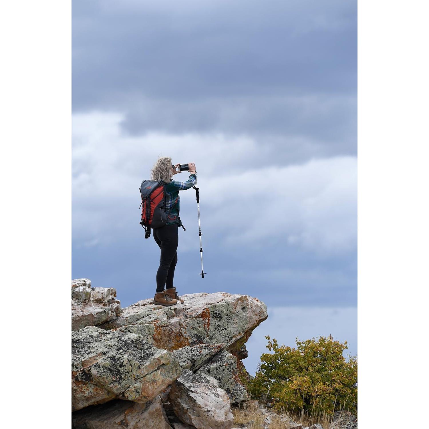 Bastón de Senderismo ALPS Mountaineering Journey 135 cm