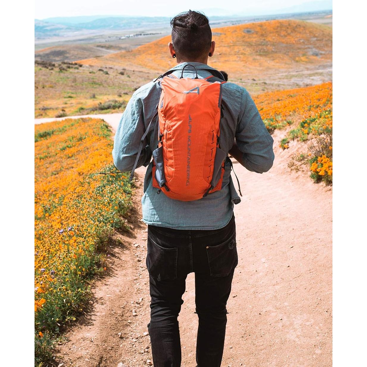 Mochila ALPS Mountaineering Canyon 20L Chili/Gris