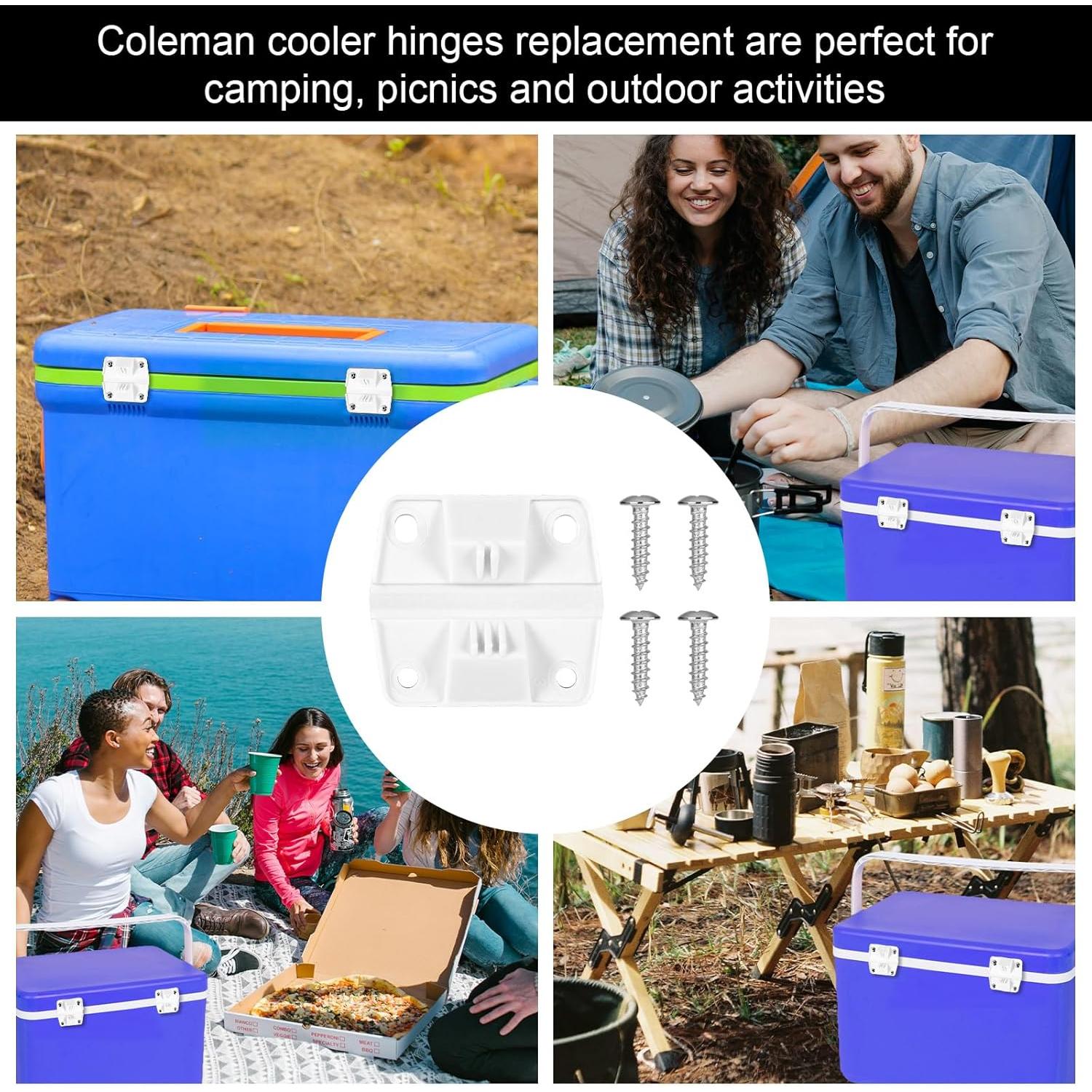 Kit de 6 Bisagras de Plástico para Nevera NQEUEPN con Tornillos