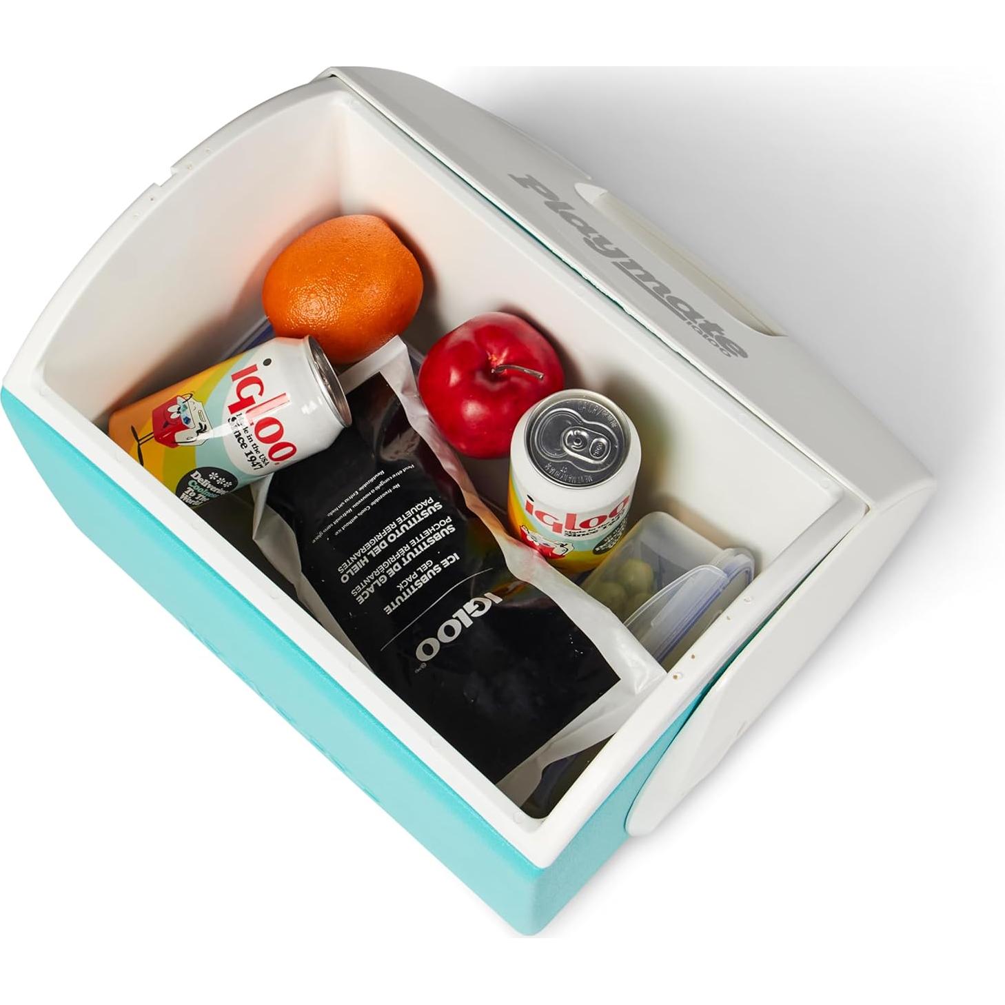 Bloque de Hielo de Gel Igloo 226g - Ultratherm Reutilizable