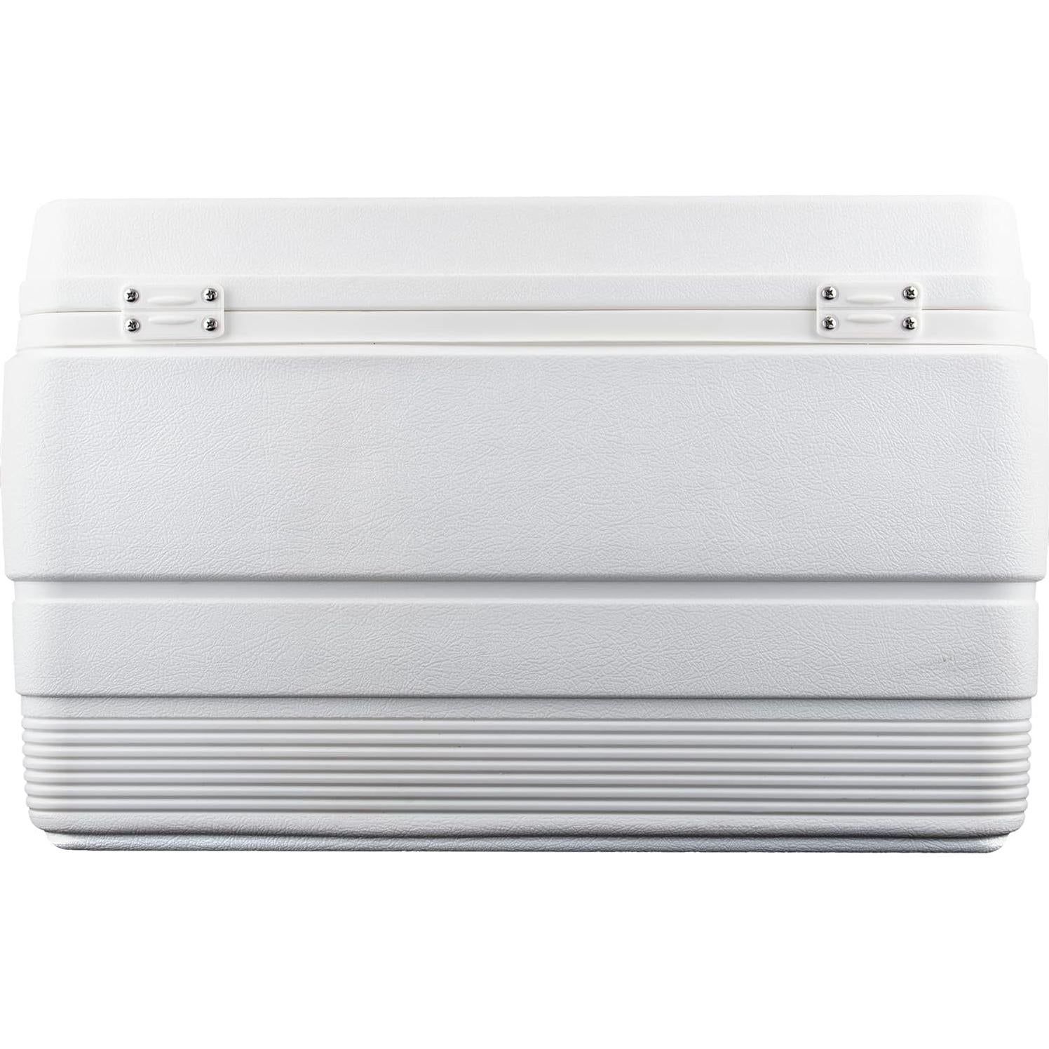 Bisagra de Nevera Igloo Blanca NeverBreak - Reemplazo Durable