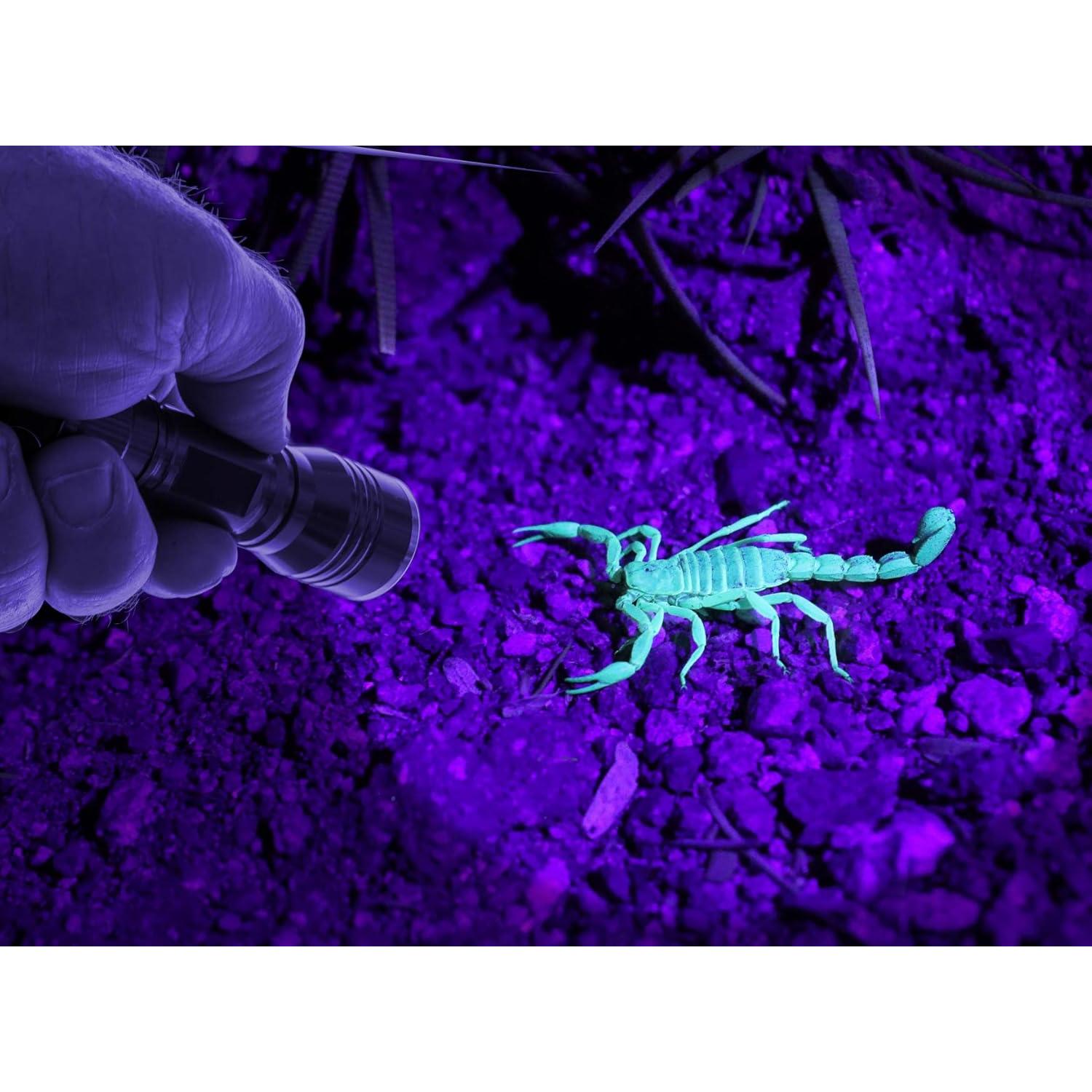 Linterna Frontal LED Blanca y Luz Negra SE ES-UV395-2