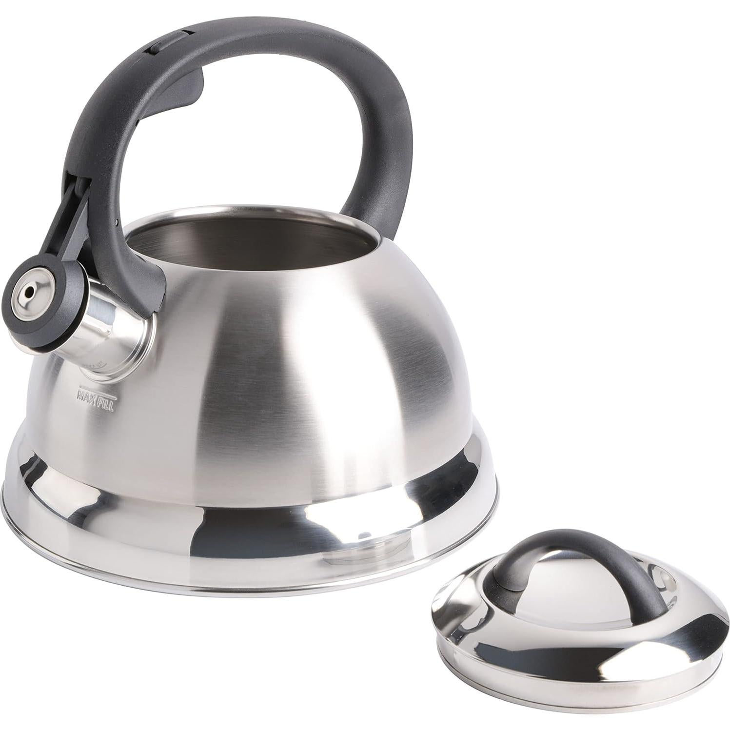 Tetera Silbante de Acero Inoxidable Mr. Coffee Flintshire 1.66L