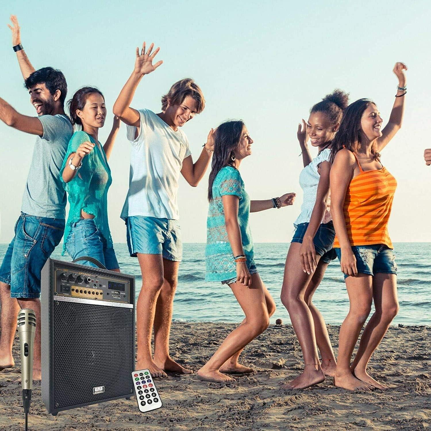 Amplificador PA Portátil EMB 300W con Bluetooth y Micrófono