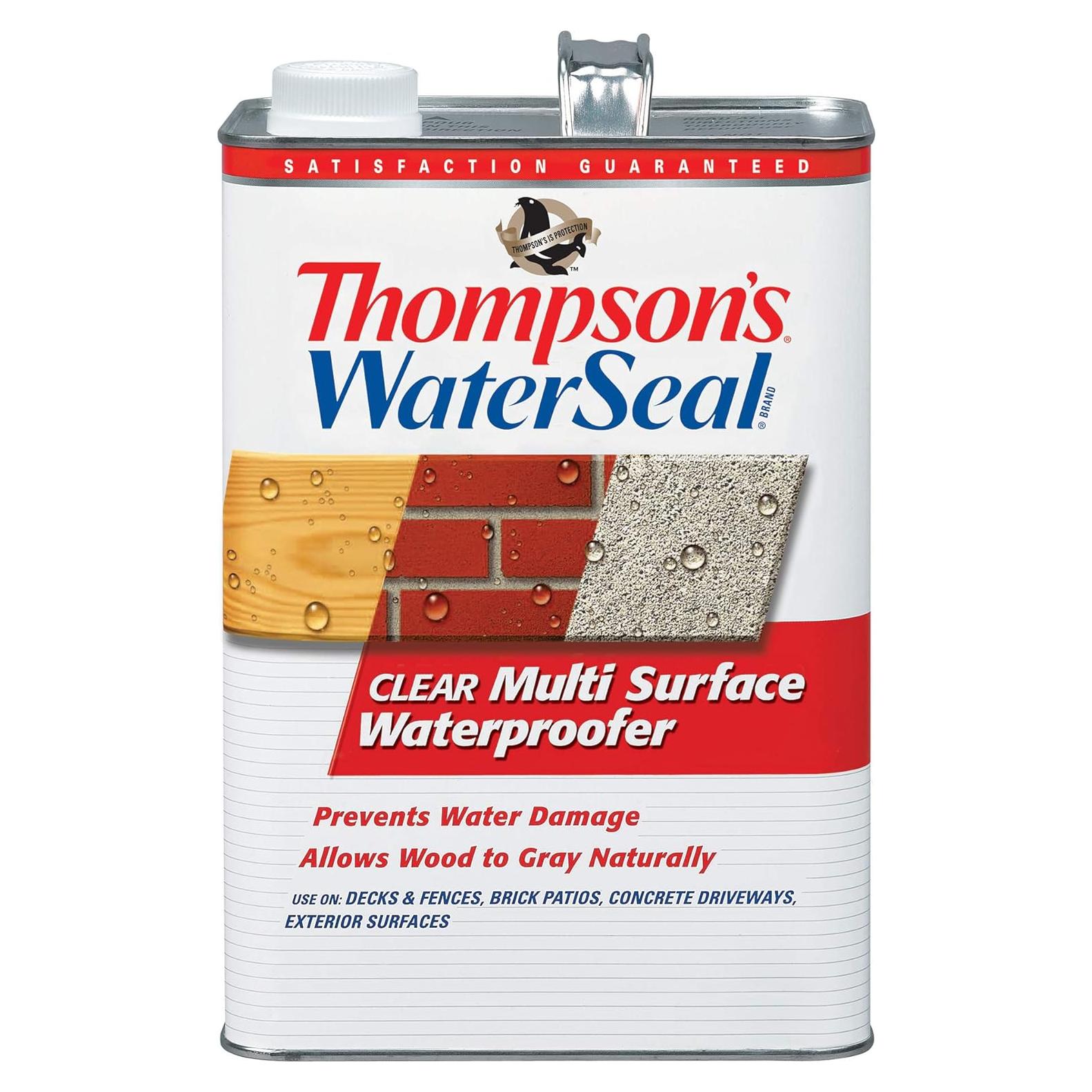 Sellador Impermeable Multi-Superficie Thompson 3.78L Claro