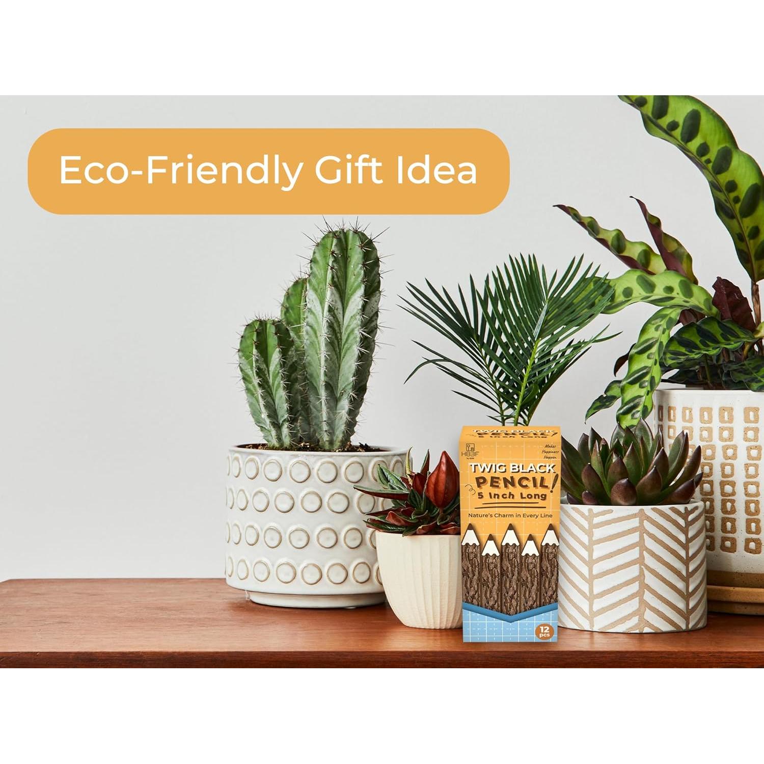 Lápices de Madera BSIRI Rústicos de 12 Unidades para Decoración