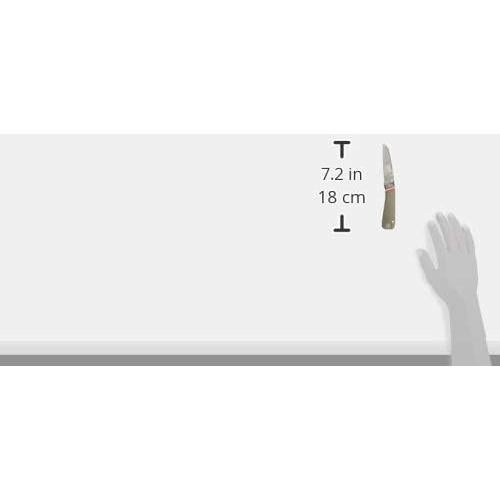 Cuchillo Plegable Gerber Straightlace 7.4 cm Verde