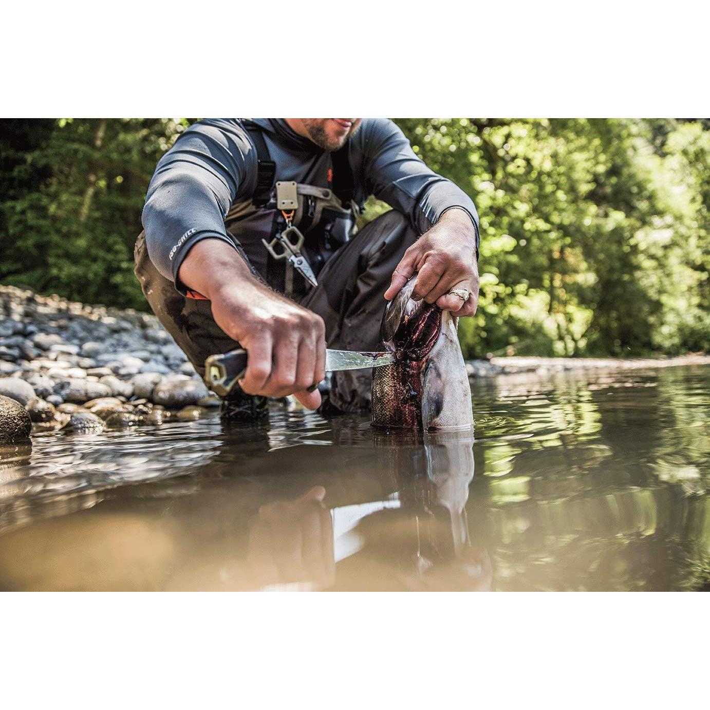 Cuchillo de Filete de Pescado Gerber Controller 15.2 cm Acero Inoxidable