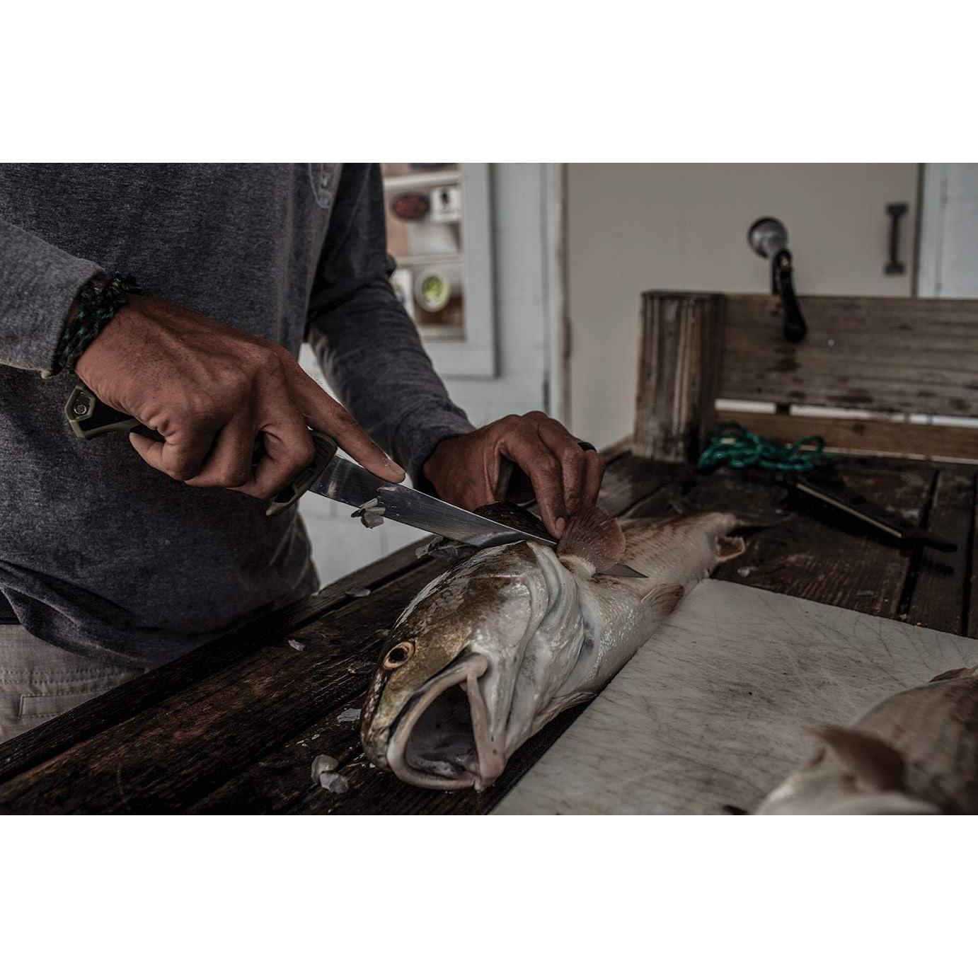 Cuchillo de Filete de Pescado Gerber Controller 15.2 cm Acero Inoxidable