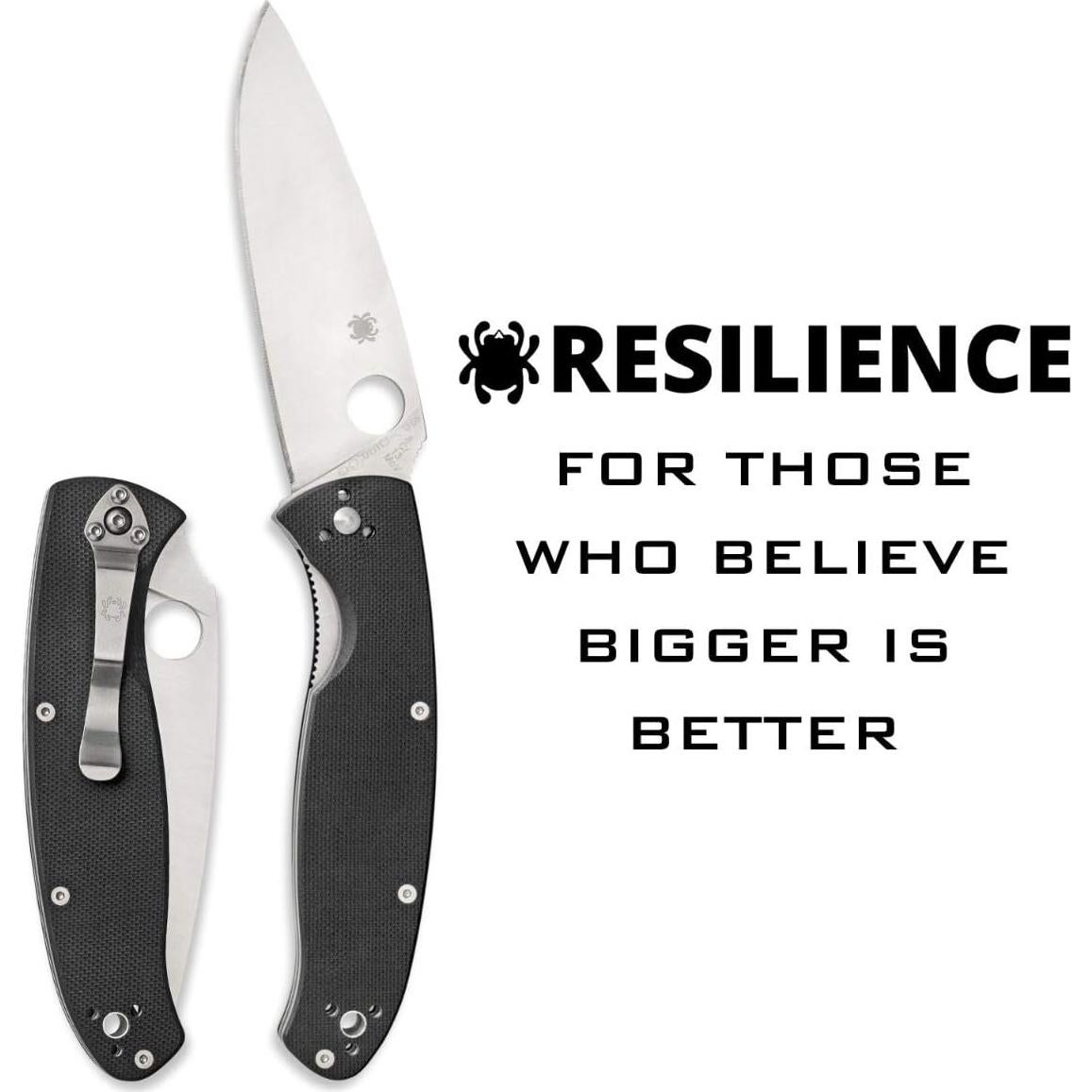 Cuchillo de bolsillo Spyderco Resilience 10.8 cm acero inoxidable