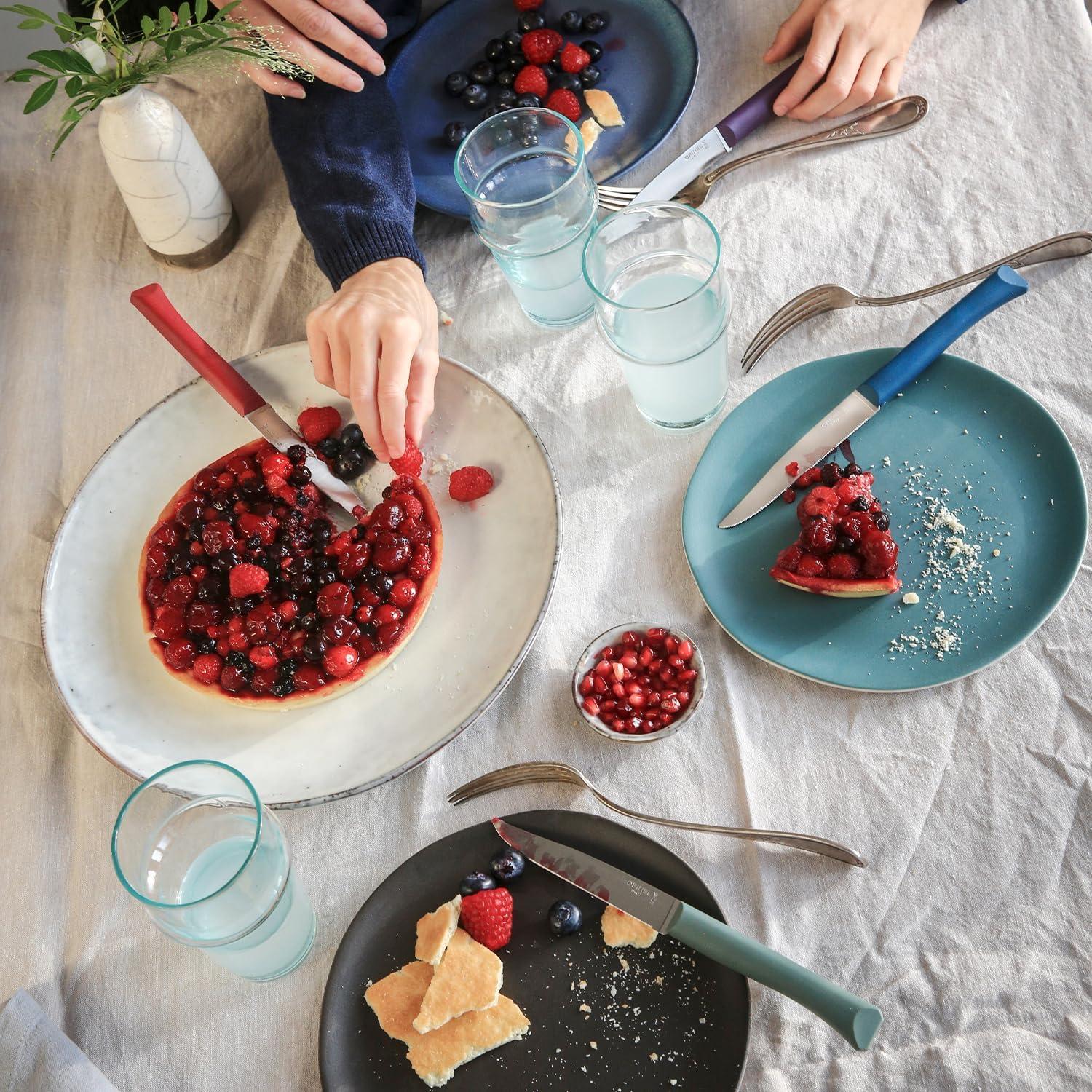 Set de 4 cuchillos de steak Opinel Bon Appetit - Tormenta