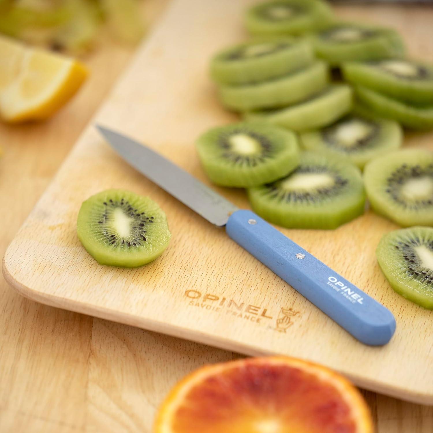 Cuchillo de Pelar OPINEL Essential No.112, Acero Inoxidable, 10.16 cm