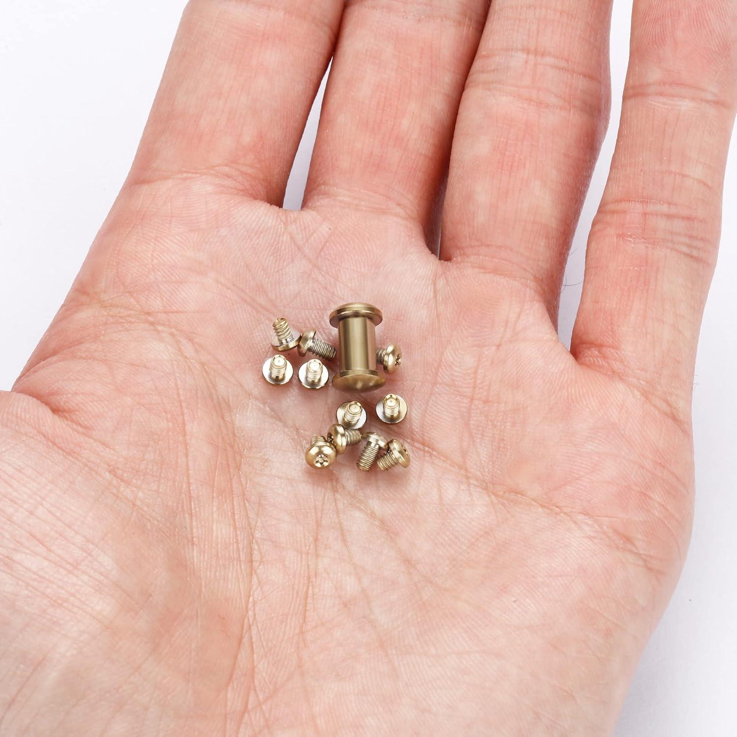 Juego de Tornillos y Pivotes Torx A.I.FORCE 13 Pcs Titanio Dorado