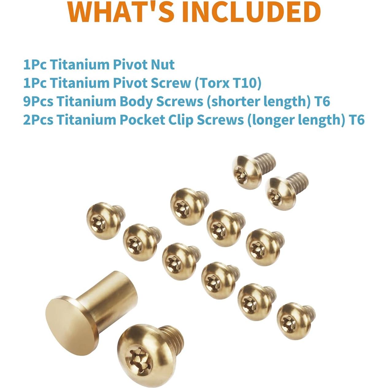 Juego de Tornillos y Pivotes Torx A.I.FORCE 13 Pcs Titanio Dorado